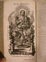 illustration B
